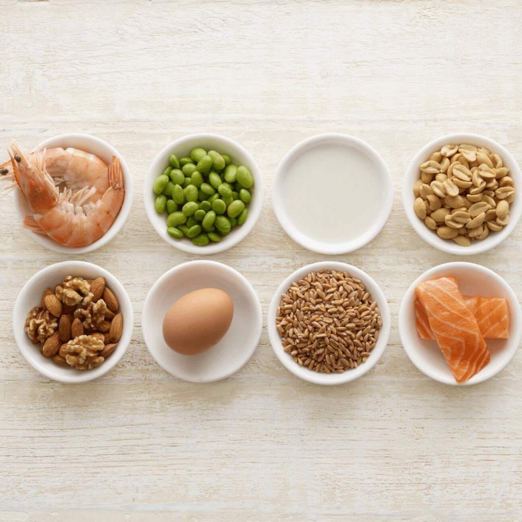 Introducing Common Food Allergens